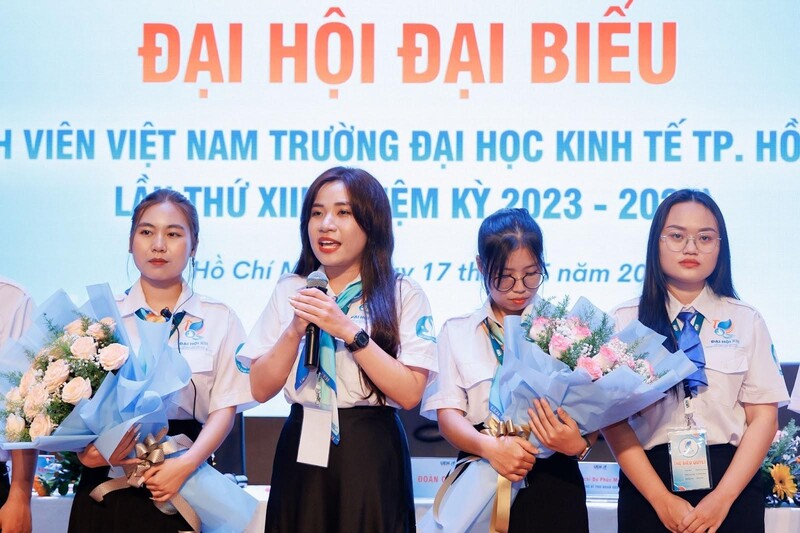 cá cược thể thao hul city